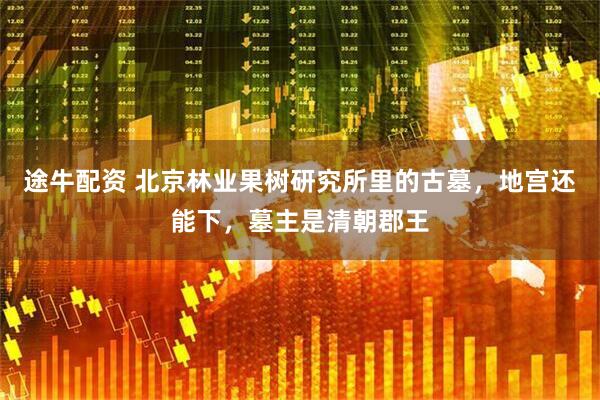 途牛配资 北京林业果树研究所里的古墓，地宫还能下，墓主是清朝郡王